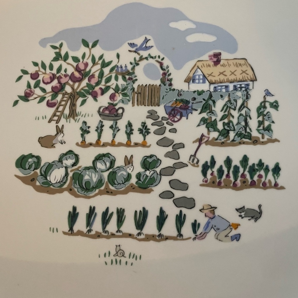 Apple Valley by Pfaltzgraff Oval Platter. - Picture 2 of 4